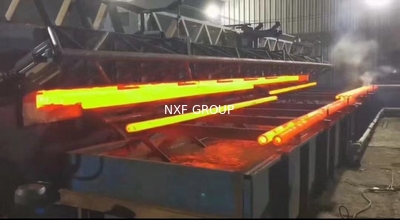 NXF GROUP (New XiFei (SuZhou) Business Co.,Ltd)