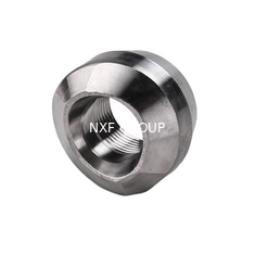 ASTM A403 WP317L Forged Stainless Steel Pipe Fittings Weldolet Sockolet Threadolet Lateralolet 317L Round Head OEM Customizable Equal