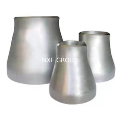 NFX Alloy B-2 DN 20-1500 UNS N10665 W.Nr. 2.4617 Butt Welding Reducer with SCH 10-80 Thickness and Welding Connection