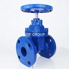 General Manual Gate Valve with Ductile Cast Iron GGG50 Hand Wheel Resilient Seated Water Seal DIN Pn10 Pn16 OEM Supported