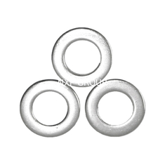 Grade Hastelloy C-276 DIN125 Flat Plain Washer for Spring and Load Applications M6-M16 with Internal Tooth Plain Finish