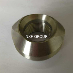 NXF Threaded Pipe Fittings DN 6-100 Class 3000-6000 ASTM B637,AMS 5383 Alloy G-30/2.4603/UNS N06030 Threaded Olet