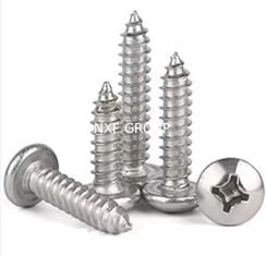 NXF ASTM A790M ASTM A479 Duplex Stainless Steel S32205 UNS S31803 S32205 DIN 1.4462 M1-M10 Cross Pan Head Tapping Screw