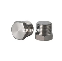 NXF UNS S31008 ASTM A403 310S/0Cr25Ni20/1.4845 DN6-100 Class3000-9000 310S SS THD Square/Hex Head Plug and Round Head Bushing