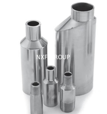 NXF UNS S31008 ASTM A403 310S/0Cr25Ni20/1.4845 DN6-300 Class3000-9000 High Pressure 310S Stainless Steel Swaged Nipple
