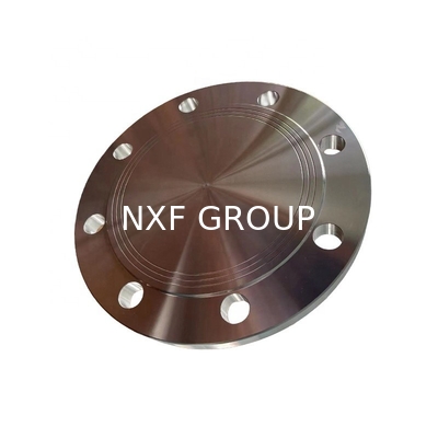 SS 904L Forged Blind Flanges ASTM A182 F904L UNS N08904/DIN 1.4539 for Various Applications and Industries