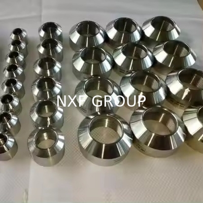 NXF NS313/Inconel601 Olet 1/8-24 INCH STD-SCH160 Customizable Casting Technique with Standard UNS N06601/NiCr23Fe/NC23FeA