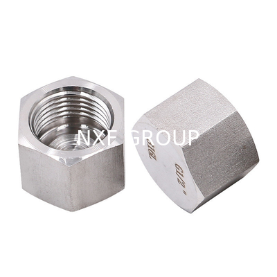 Thread Type NPT BSP BSPT NXF 2205/2507 Duplex Stainless Steel 314/306 Pipe Fitting Screwed Hex Cap NPT/BSP Threaded Cast Technics