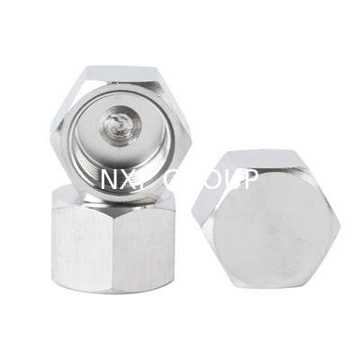 Thread Type NPT BSP BSPT NXF 2205/2507 Duplex Stainless Steel 314/306 Pipe Fitting Screwed Hex Cap NPT/BSP Threaded Cast Technics