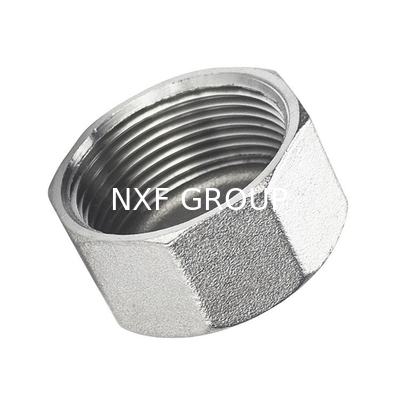 Thread Type NPT BSP BSPT NXF 2205/2507 Duplex Stainless Steel 314/306 Pipe Fitting Screwed Hex Cap NPT/BSP Threaded Cast Technics