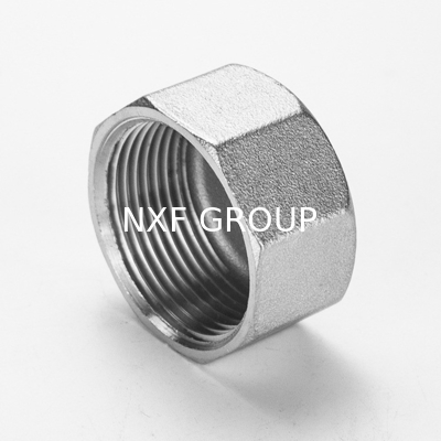 Thread Type NPT BSP BSPT NXF 2205/2507 Duplex Stainless Steel 314/306 Pipe Fitting Screwed Hex Cap NPT/BSP Threaded Cast Technics