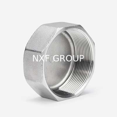 Thread Type NPT BSP BSPT NXF 2205/2507 Duplex Stainless Steel 314/306 Pipe Fitting Screwed Hex Cap NPT/BSP Threaded Cast Technics
