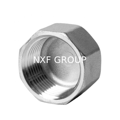 Durable Performance Stainless Steel 304/316 Screwed Hex Cap NPT/BSP Threaded Pipe Fitting in ANSI JIS DIN ASME Standard