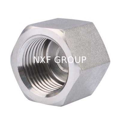 Durable Performance Stainless Steel 304/316 Screwed Hex Cap NPT/BSP Threaded Pipe Fitting in ANSI JIS DIN ASME Standard