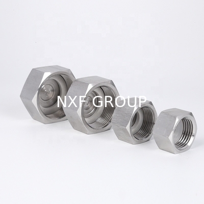 Durable Performance Stainless Steel 304/316 Screwed Hex Cap NPT/BSP Threaded Pipe Fitting in ANSI JIS DIN ASME Standard