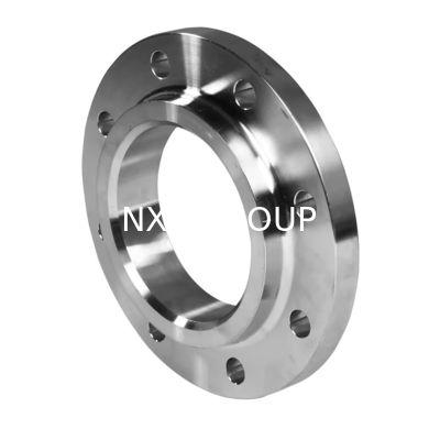 NXF Forged 2205 Super Duplex Stainless Steel Titanium Flange with ASME Standard and Smooth Finish