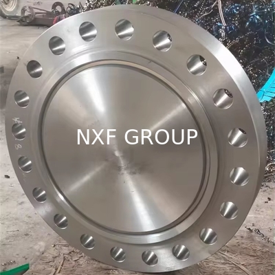 Customized Support OEM NXF Blind Flanges Alloy B-2 / UNS N10665 / W.Nr. 2.4617 Pipe Fittings for Oil Gas Water Industrial