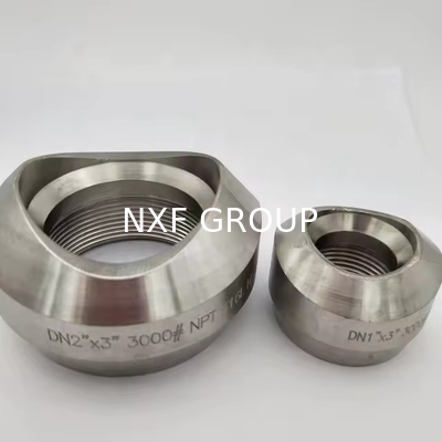 Round Head Code Super Austenitic Stainless 904L A182/B649 WP904L UNS N08904 Sockolet/Weldolet/Threadolet Forging Fitting