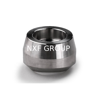 ASTM A403 WP317L Forged Stainless Steel Pipe Fittings Weldolet Sockolet Threadolet Lateralolet 317L Round Head OEM Customizable Equal