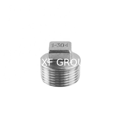NXF UNS SS44600/X10CrAlSi25/H24JS/446/Z12CAS25/1.4762 304/316 Stainless Steel Square Head Plug DN6-DN100 for Casting