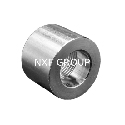 Alloy B-2 / UNS N10665 / W.Nr. 2.4617l Threaded Coupling THD DN 6-100 Class 3000-Class 6000 Pipe Fittings OEM Services