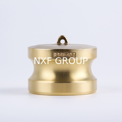 Professional Brass Type D Sand Casting Female BSPP Camlock Fittings for Precision and Optimal Functionality