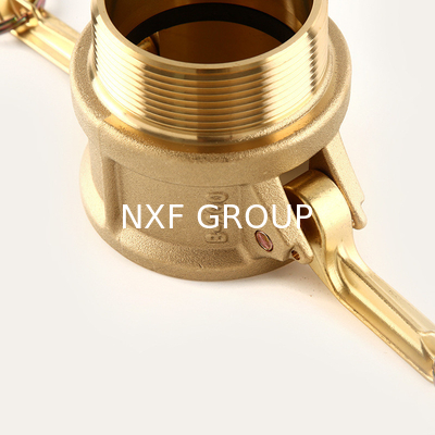 1/2"-8" Round Head Brass Camlock Coupling Quick Couplings Type B for Food and Beverage Industry