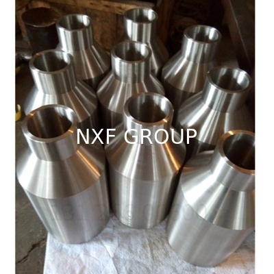 NXF ASTM A564/A564M AMS 5629 13-8Mo 1.4534 S13800 DN8-1200 SCH10S-SCH80 Pipe Fitting Casting Technics Swaged Nipple
