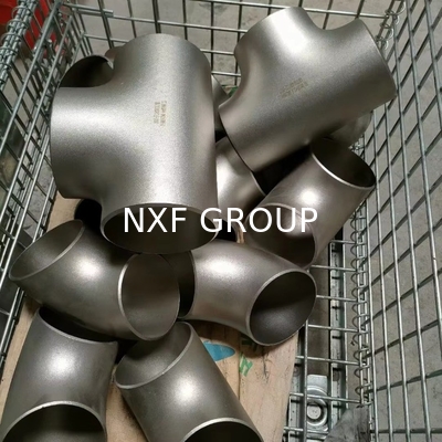 Welding Connection Alloy B-2 / UNS N10665 / W.Nr. 2.4617 Pipe Fittings DN15-1500 SCH10S-SCH80 Round TEE for Butt Welding