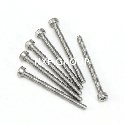 NXF Manufacturing Stainless Steel Hexagon Socket Head Bolts with Spring Flat Washer Allen Key ZINC Finish Customer's Request