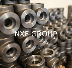 NXF DN 6-1200 Class 3000-9000 Pipe Fittings ASTM B637,AMS 5383 Alloy G-30/2.4603/UNS N06030 Socket Welding Tee