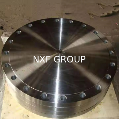 NXF DN 15-1200 Class150-2500 Product Type Pipe Fittings ASTM B637,AMS 5383 Alloy G-30/2.4603/UNS N06030 Blind Flanges