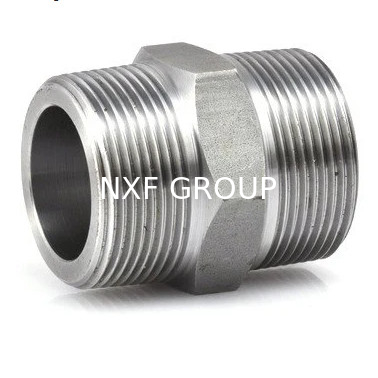 NXF Forging Technique Pipe Fittings DN 6-80 SCH 80-160 ASTM B637,AMS 5383 Alloy G-30/2.4603/UNS N06030 Hexagonal Nipple