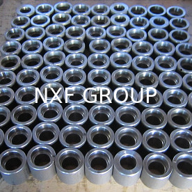 NXF Customizable DN 6-100 Class 3000-9000 ASTM B573,ASME SB573,AMS 5771 Alloy N/UNS N10003 Socket Welding Coupling