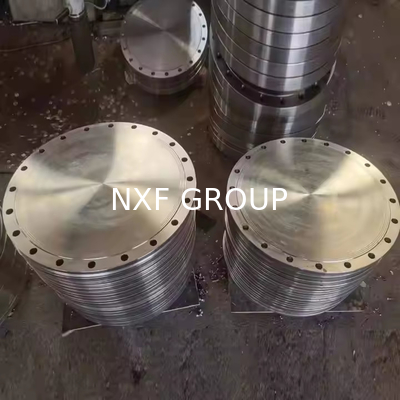 NXF DN 15-1200 Class150-2500 Product Type Pipe Fittings ASTM B573,ASME SB573,AMS 5771 Alloy N/UNS N10003 Blind Flanges