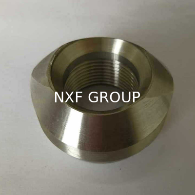 NXF Threaded Pipe Fittings DN 6-100 Class 3000-6000 ASTM B573,ASME SB573,AMS 5771 Alloy N/UNS N10003 Threaded Olet