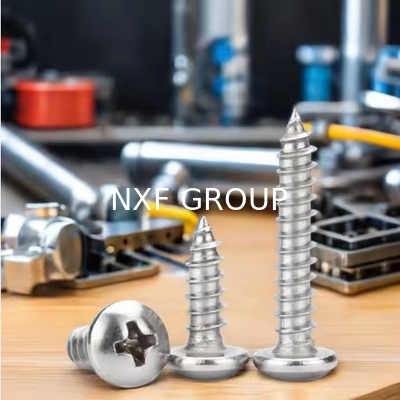 NXF ASTM A790M ASTM A479 Duplex Stainless Steel S32205 UNS S31803 S32205 DIN 1.4462 M1-M10 Cross Pan Head Tapping Screw