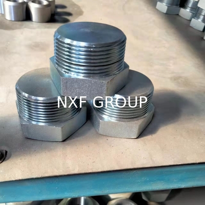 NXF Pipe Fittings DN 6-DN 100 Source Factory ASTM B573,ASME SB573,AMS 5771 Alloy N/UNS N10003 Hexagon Head Plug