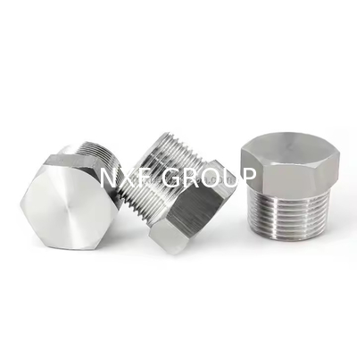 NXF Pipe Fittings DN 6-DN 100 Source Factory ASTM B573,ASME SB573,AMS 5771 Alloy N/UNS N10003 Hexagon Head Plug