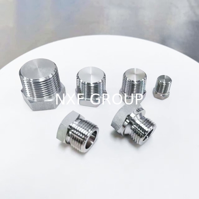 NXF Pipe Fittings DN 6-DN 100 Source Factory ASTM B573,ASME SB573,AMS 5771 Alloy N/UNS N10003 Hexagon Head Plug