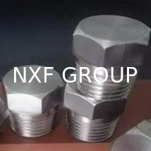 NXF Pipe Fittings DN 6-DN 100 Source Factory ASTM B573,ASME SB573,AMS 5771 Alloy N/UNS N10003 Hexagon Head Plug