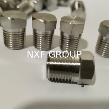 NXF Pipe Fittings DN 6-DN 100 Source Factory ASTM B573,ASME SB573,AMS 5771 Alloy N/UNS N10003 Hexagon Head Plug