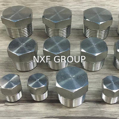 NXF Pipe Fittings DN 6-DN 100 Source Factory ASTM B573,ASME SB573,AMS 5771 Alloy N/UNS N10003 Hexagon Head Plug