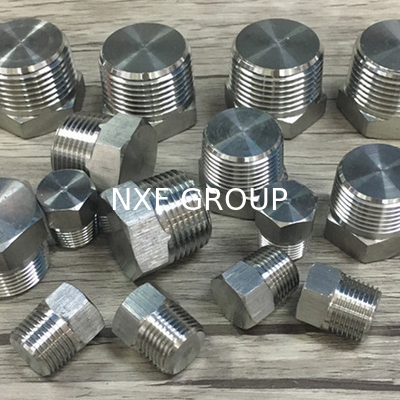NXF Pipe Fittings DN 6-DN 100 Source Factory ASTM B573,ASME SB573,AMS 5771 Alloy N/UNS N10003 Hexagon Head Plug