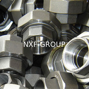 NXF THD Pipe Fittings Customizable DN 6-80 Class 3000-9000 ASTM B573,ASME SB573,AMS 5771 Alloy N/UNS N10003 Threaded Union
