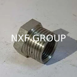 NXF Customizable DN 6-100 ASTM B573,ASME SB573,AMS 5771 Product Category Pipe Fittings Alloy N/UNS N10003 HEX Head Bushing