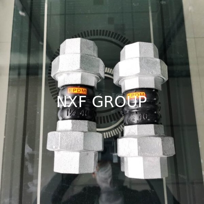 NXF DN 25-600 316/0Cr17Ni12Mo2/1.4401 Stainless Steel Flanged Type Flexible Twin Sphere Thread Union Rubber Expansion Joint