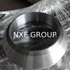 NXF Pipe Fitting Customizable DN 6-1200 STD-SCH 160 ASTM B435,ASTM B572 Alloy X/2.4656/UNS N06002 Butt Welding Olet