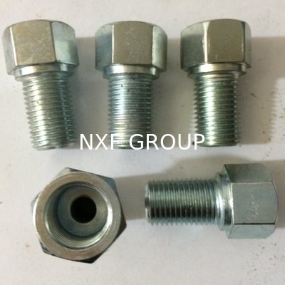 NXF ASTM A240 316H /1Cr17Ni12Mo2/31609 DN15-1200  Class 150-2500 Stainless Steel 316H Forging Threaded Hexagonal Head Plug