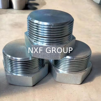 NXF ASTM UNSS31603 316L/00Cr17Ni14Mo2/1.4404 DN 15-1200 Class150-Class2500 Stainless Steel 316L Forging Threaded Hex Head Plug